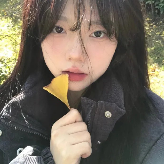 长安的荔枝